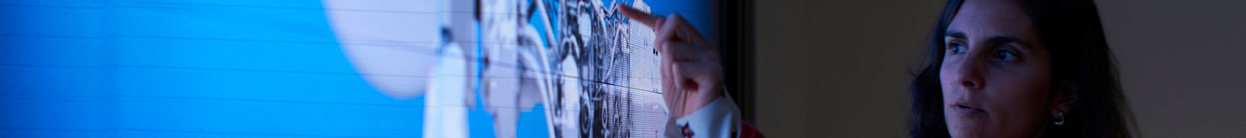 Bild zu VP Finance – Digital & IT